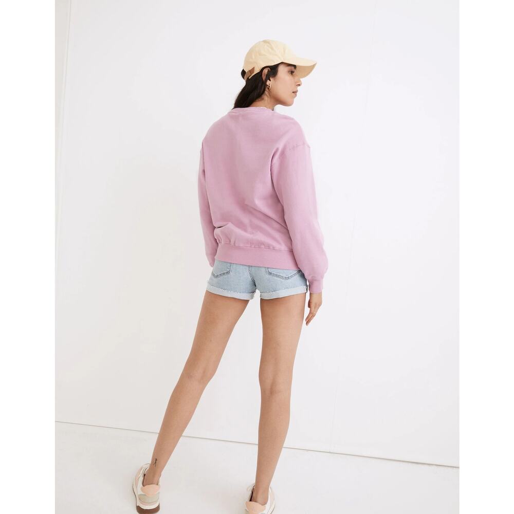 Madewell X Park Project Organic Cotton Crewneck Sweatshirts Zion Sun Size S NWT - Picture 4 of 12